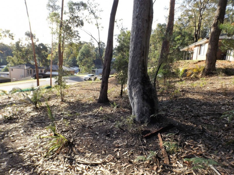 113 Litchfield Crescent, Long Beach NSW 2536