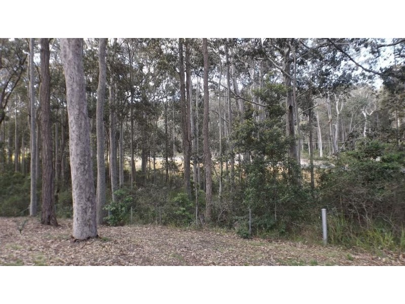 10 Nicholas Grove, Rosedale NSW 2536