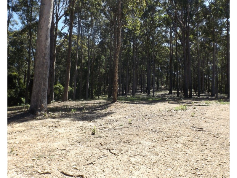 Lot 11 Worthy Drive, Malua Bay NSW 2536