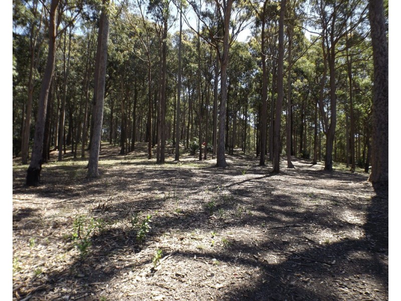 Lot 11 Worthy Drive, Malua Bay NSW 2536