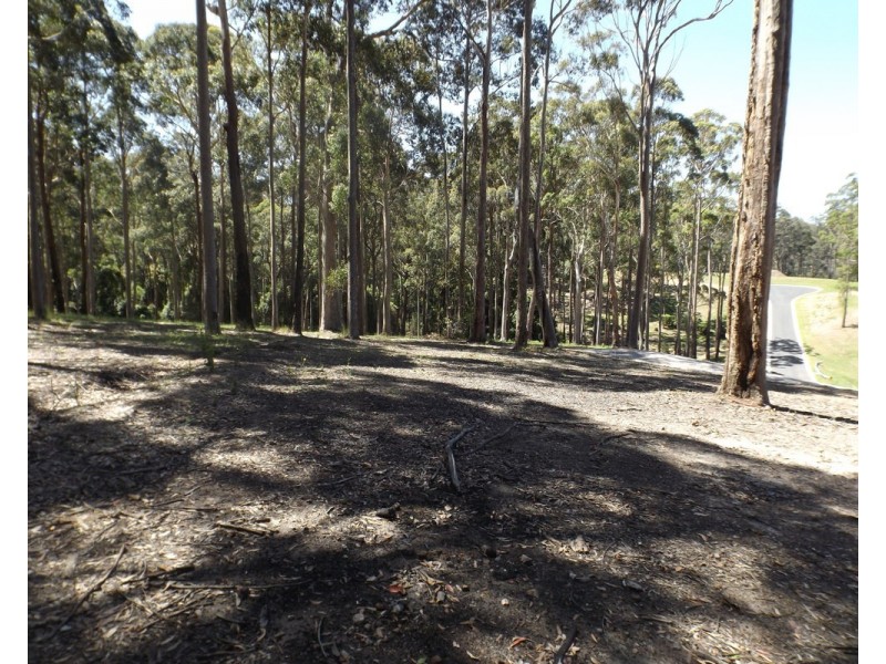 Lot 11 Worthy Drive, Malua Bay NSW 2536