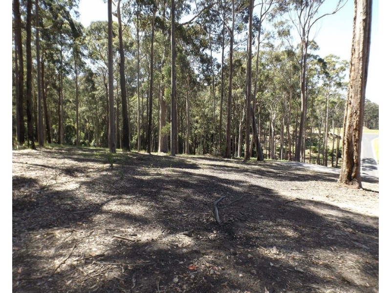 Lot 11 Worthy Drive, Malua Bay NSW 2536