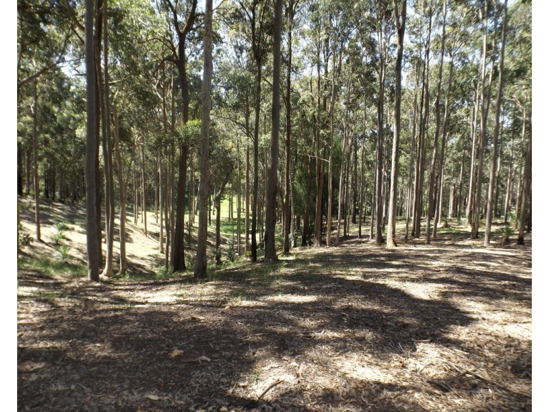 Lot 11 Worthy Drive, Malua Bay NSW 2536