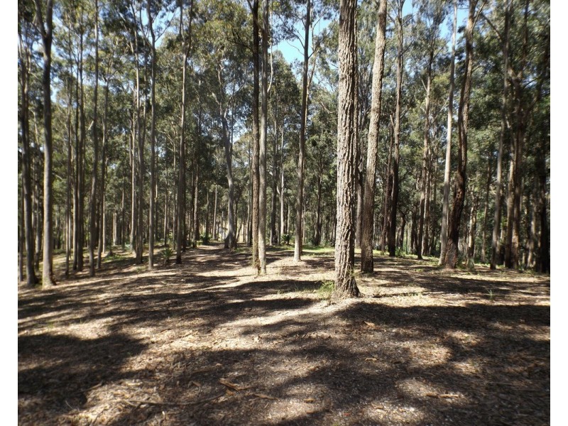 Lot 11 Worthy Drive, Malua Bay NSW 2536