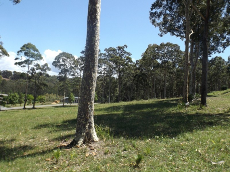 8 Brushbox Place, Sunshine Bay NSW 2536