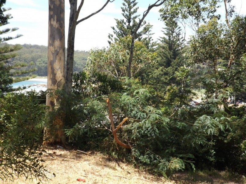 645 Beach Road, Surf Beach NSW 2536