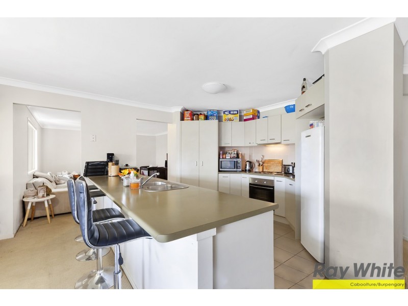 17 Paddington Street, Bellmere QLD 4510