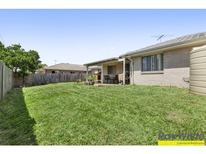 17 Paddington Street, Bellmere QLD 4510