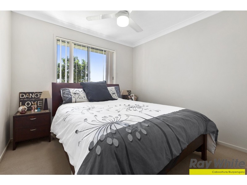 17 Paddington Street, Bellmere QLD 4510