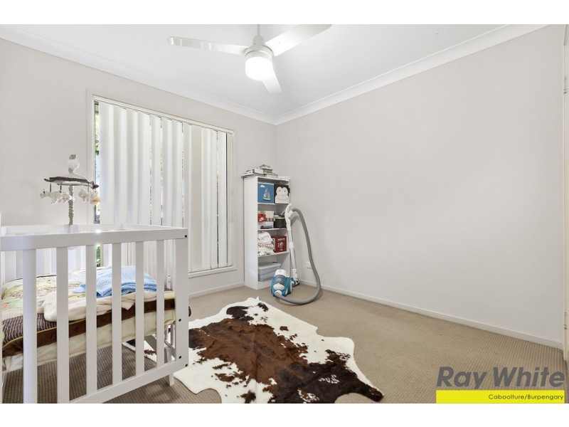 17 Paddington Street, Bellmere QLD 4510