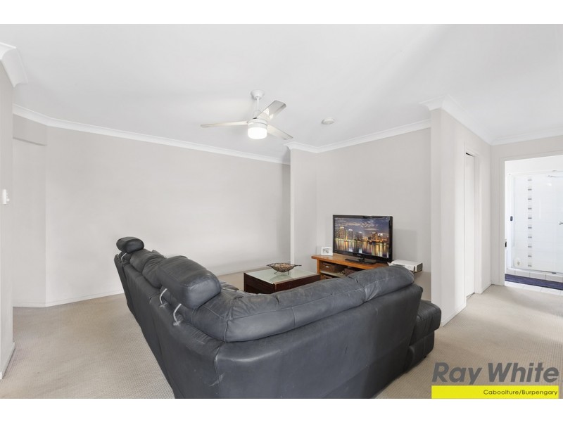 17 Paddington Street, Bellmere QLD 4510