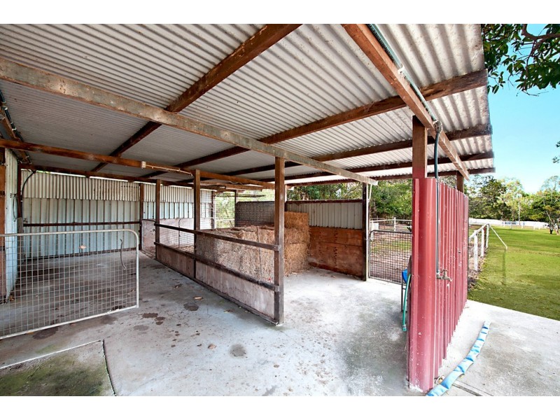 236 Mansfield, Elimbah QLD 4516