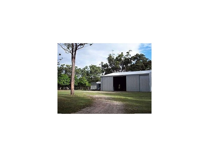 31 Conifer Road, Morayfield QLD 4506