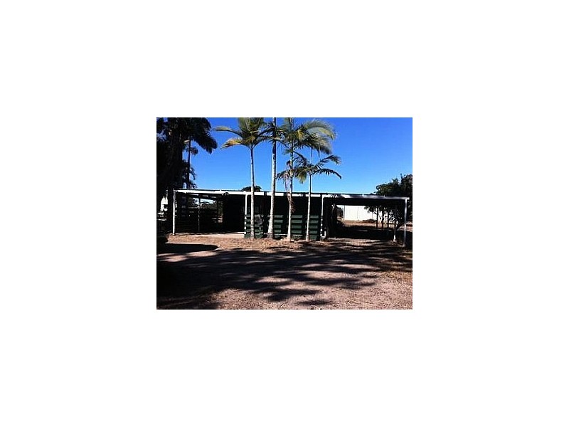 31 Conifer Road, Morayfield QLD 4506