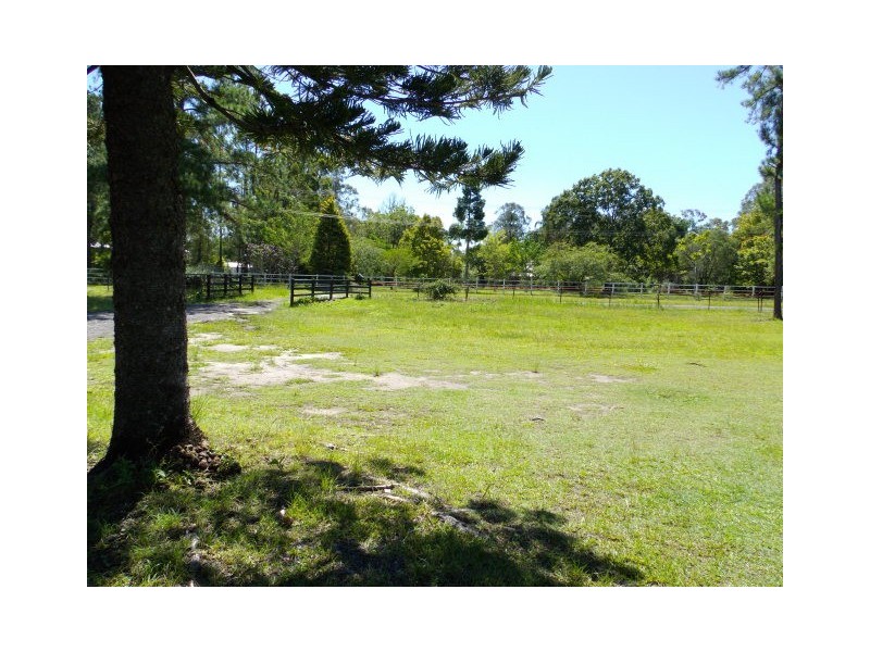 31 Conifer Road, Morayfield QLD 4506