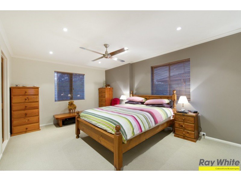 107 Hoyland Street, Bracken Ridge QLD 4017