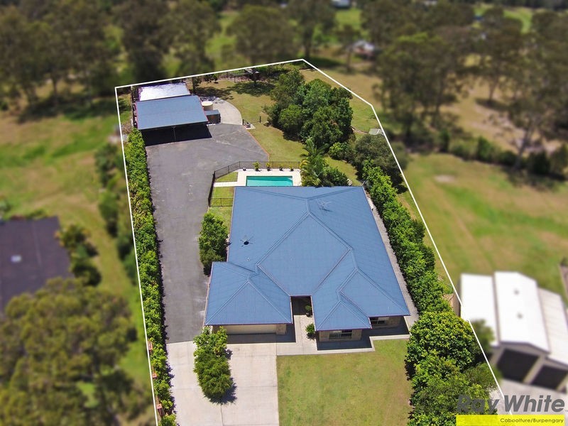 14 Bushcherry Ct, Burpengary QLD 4505