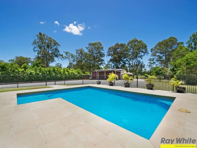 14 Bushcherry Ct, Burpengary QLD 4505