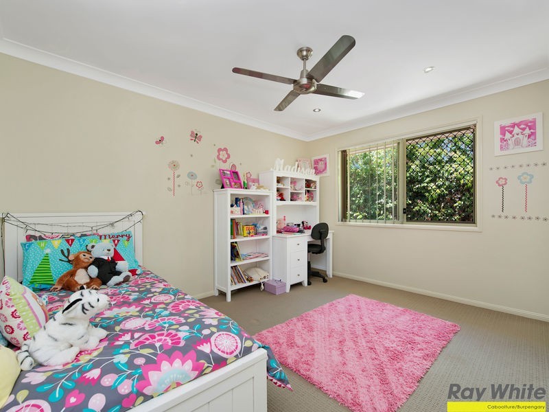 14 Bushcherry Ct, Burpengary QLD 4505