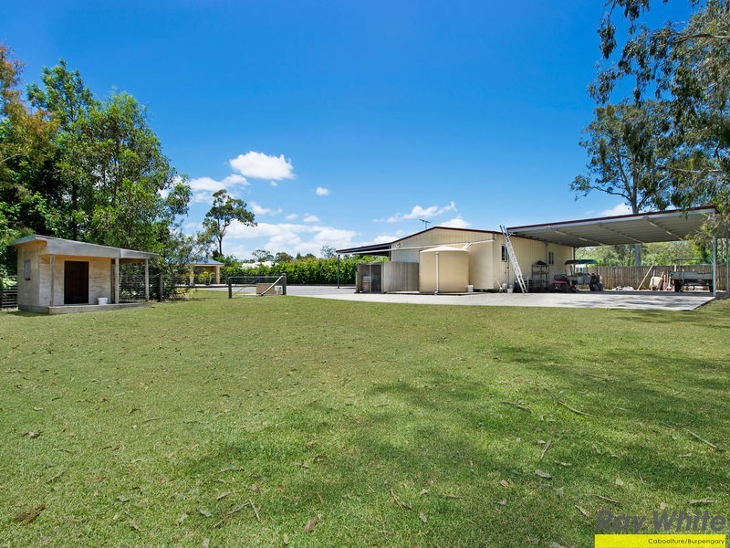 14 Bushcherry Ct, Burpengary QLD 4505