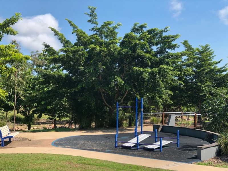 18 Dragon Flower Avenue, Mount Low QLD 4818