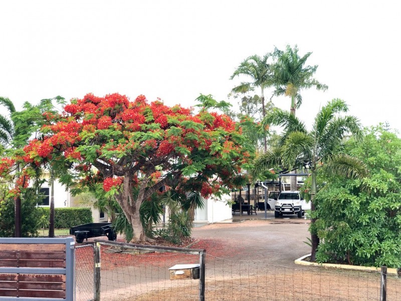 9 Havenwood Drive, Mount Low QLD 4818