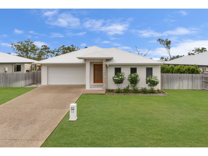 12 Carabeen Court, Mount Low QLD 4818