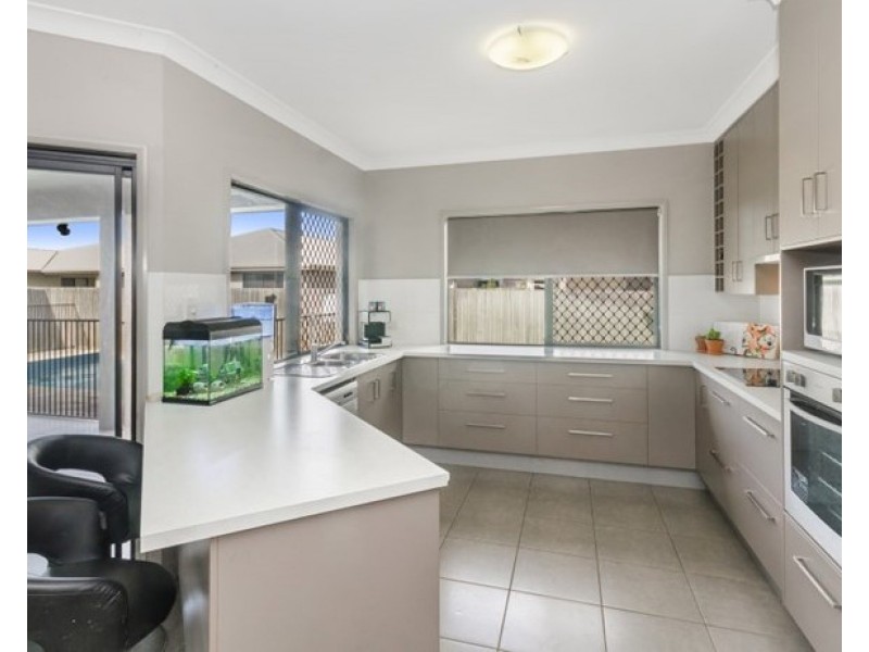 20 Dragon Flower Avenue, Mount Low QLD 4818