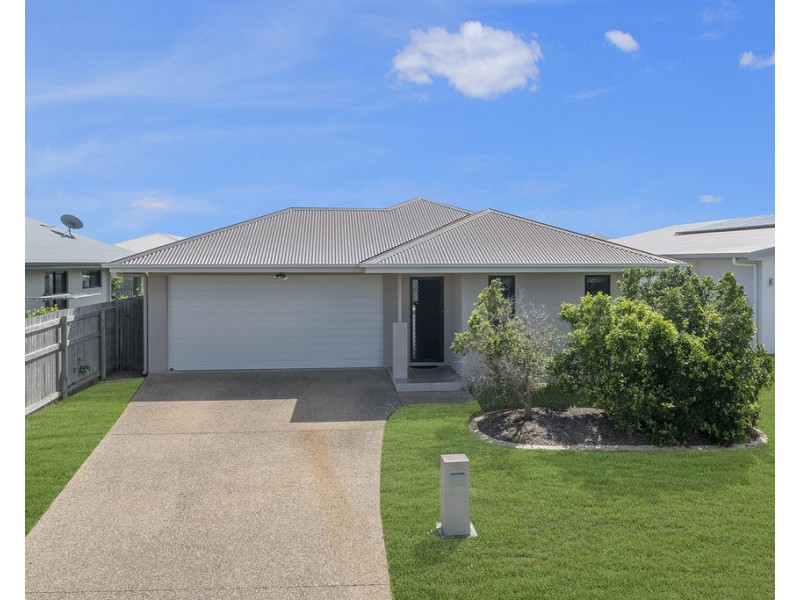 14 Dragon Flower Avenue, Mount Low QLD 4818