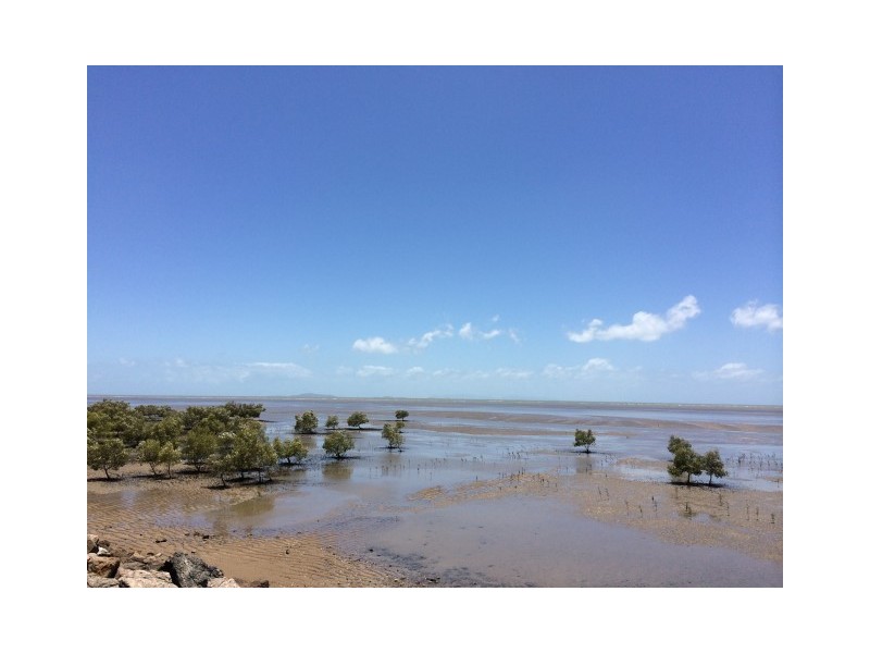 395 Garland Street, Bushland Beach QLD 4818