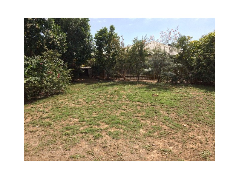 120 Daintree Drive, Bushland Beach QLD 4818