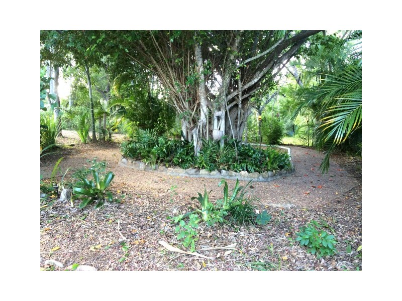 1 Balsam Street, Bushland Beach QLD 4818