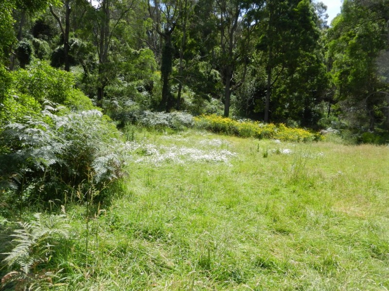 Lot 4 Brewsters Road, Yinnar South VIC 3869