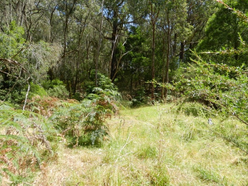 Lot 4 Brewsters Road, Yinnar South VIC 3869
