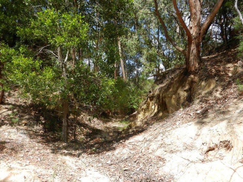 Lot 4 Brewsters Road, Yinnar South VIC 3869