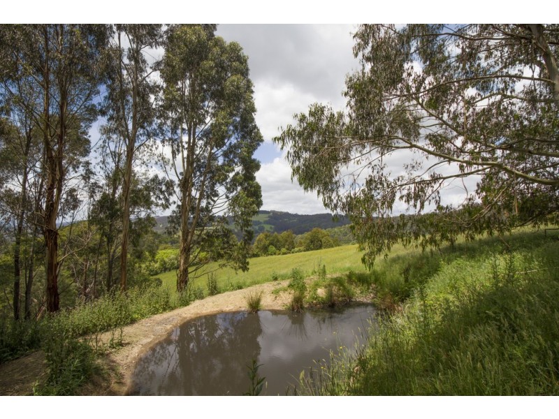 256 Earls Road, Yarragon South VIC 3823