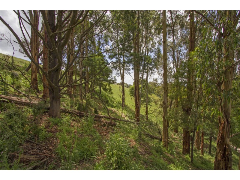 256 Earls Road, Yarragon South VIC 3823