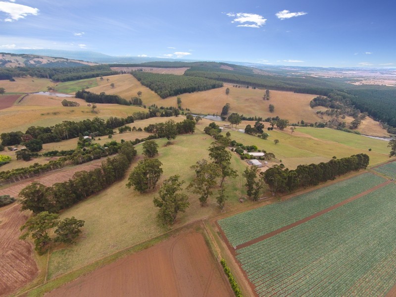 92 Morgan’s Outlet Road, Narracan VIC 3824