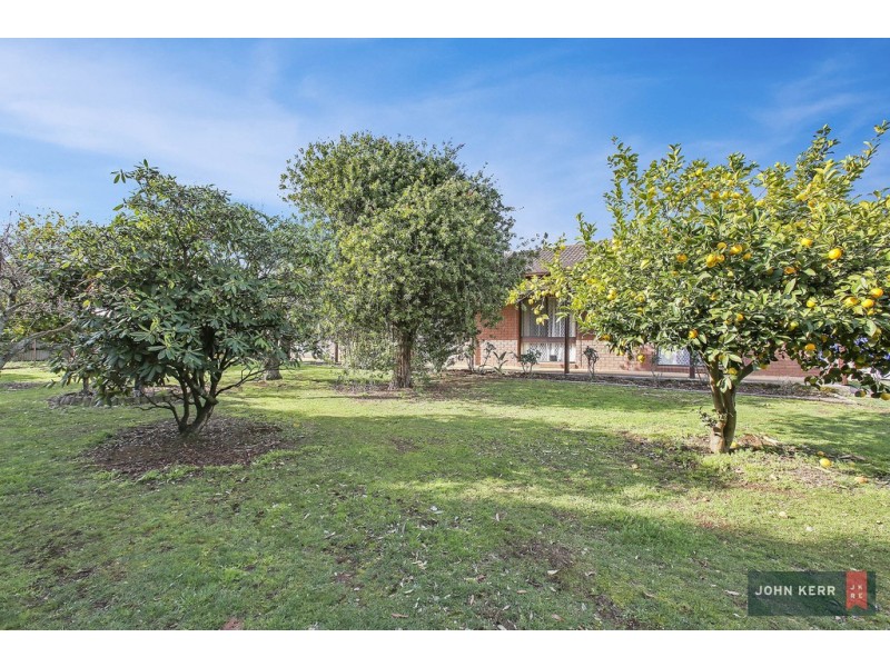 2644 Willow Grove Road, Hill End VIC 3825