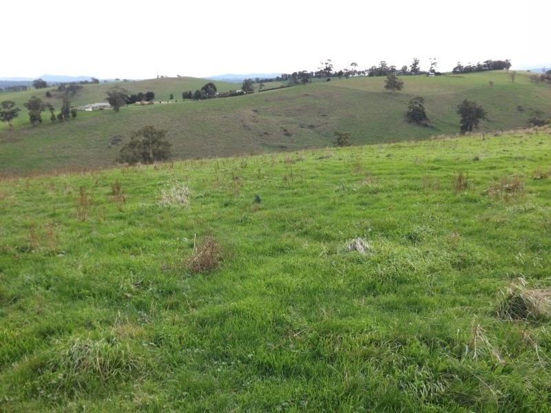 100 Paynters Road, Hill End VIC 3825