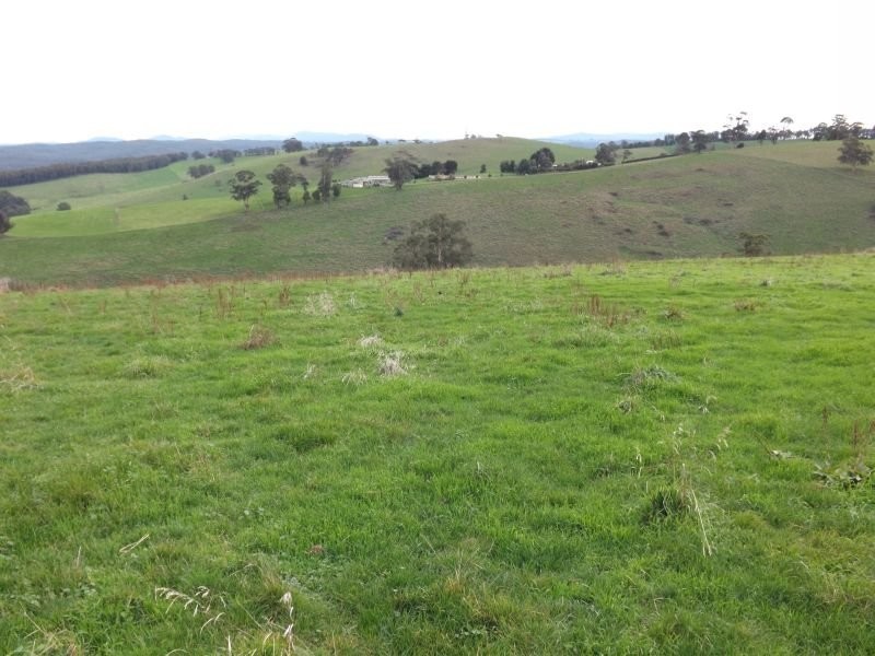 100 Paynters Road, Hill End VIC 3825