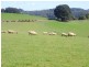 49 Childers Connection Road, Childers VIC 3824