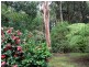 1071 Yarragon South Road, Trafalgar VIC 3824
