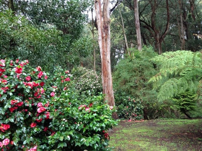 1071 Yarragon South Road, Trafalgar VIC 3824