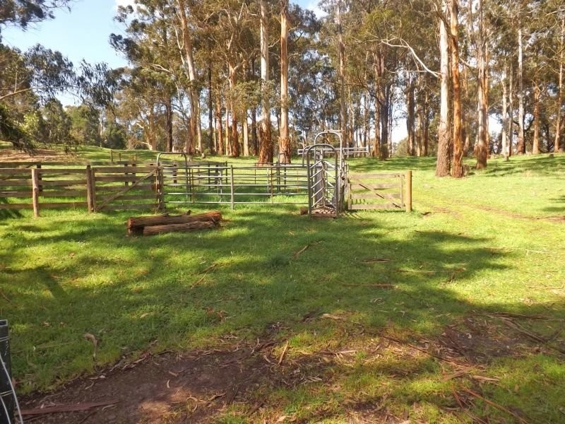 99 McDonalds Track, Narracan VIC 3824