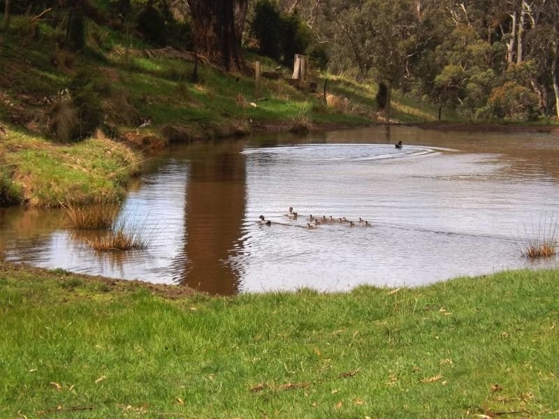 99 McDonalds Track, Narracan VIC 3824