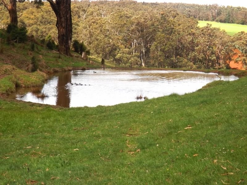 99 McDonalds Track, Narracan VIC 3824