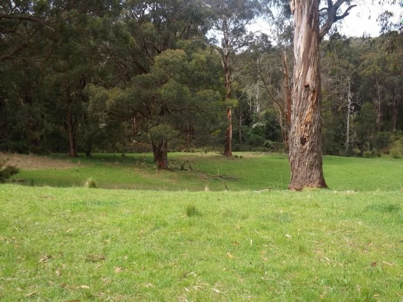 99 McDonalds Track, Narracan VIC 3824