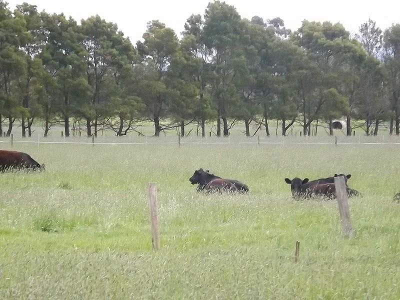 111 Eight Mile Road, Trafalgar VIC 3824