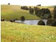 166 Cooks Road, Thorpdale VIC 3835